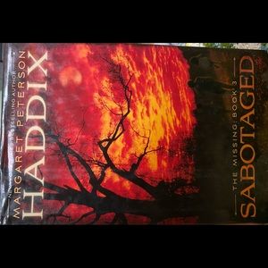 The missing book number 3. By Margaret Peterson.